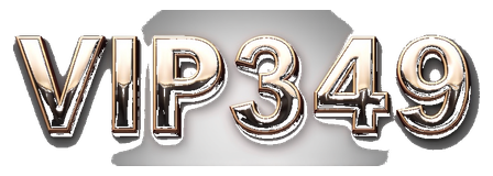 vip349 logo